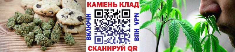 Canna-Cookies конопля закладки ссылка на мегу вход Бабушкин