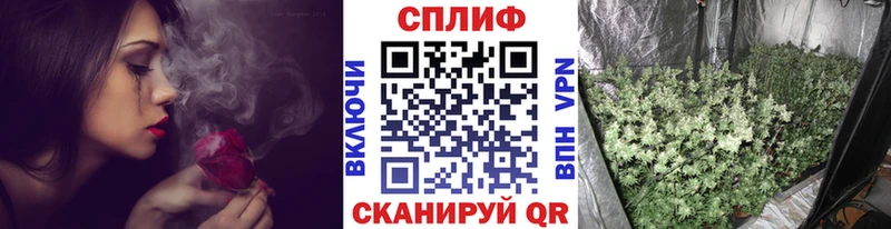 Каннабис THC 21%  наркотики  мега ссылки  Бабушкин 